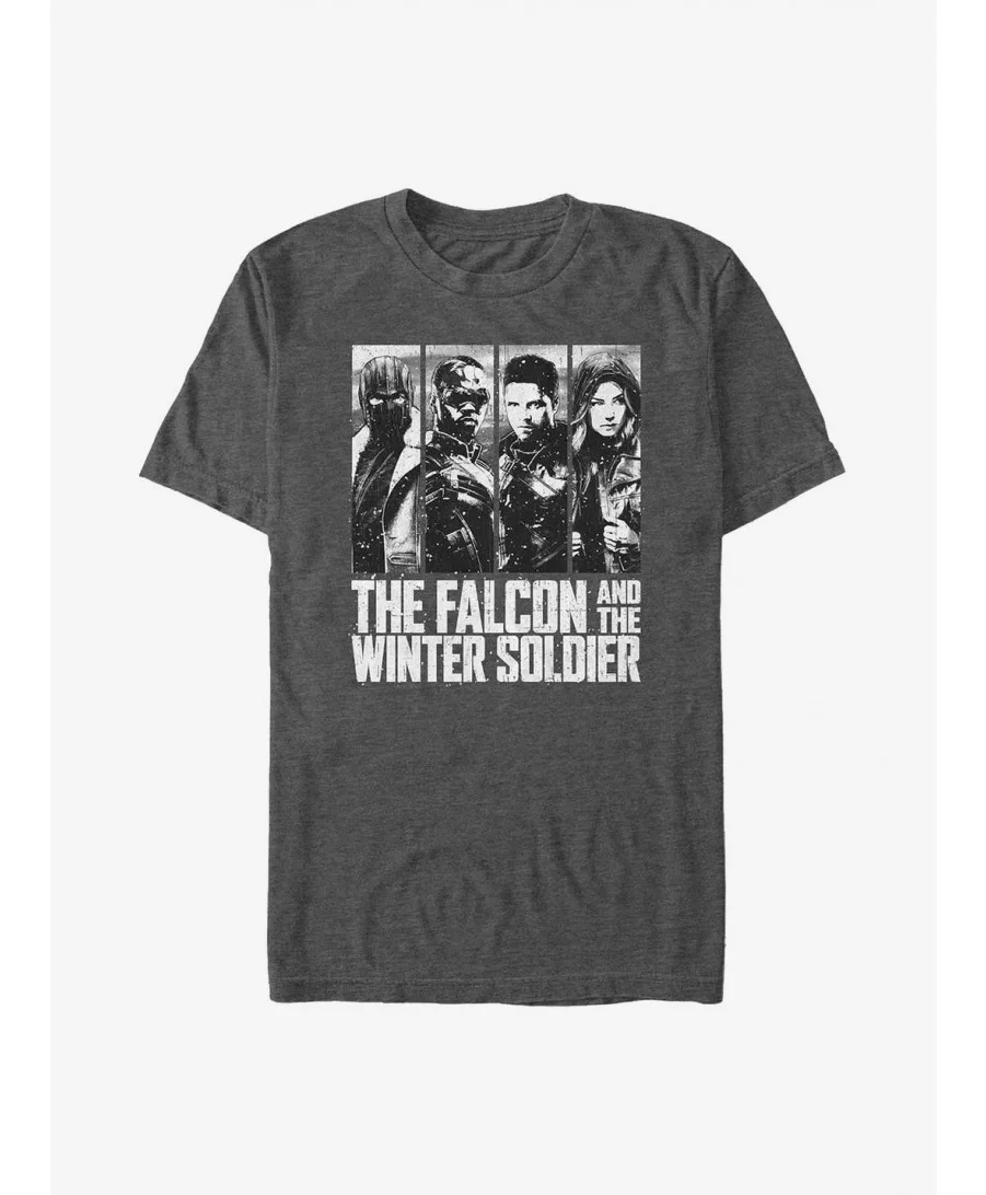 Value Item Marvel The Falcon And The Winter Soldier Characters T-Shirt $5.75 T-Shirts